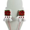 Anthurium